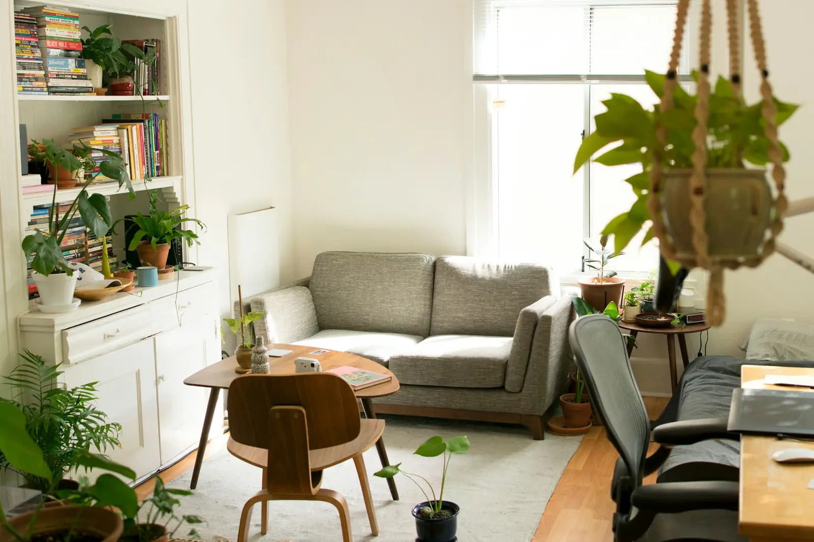 A cozy, furnished apartment living room after the move
